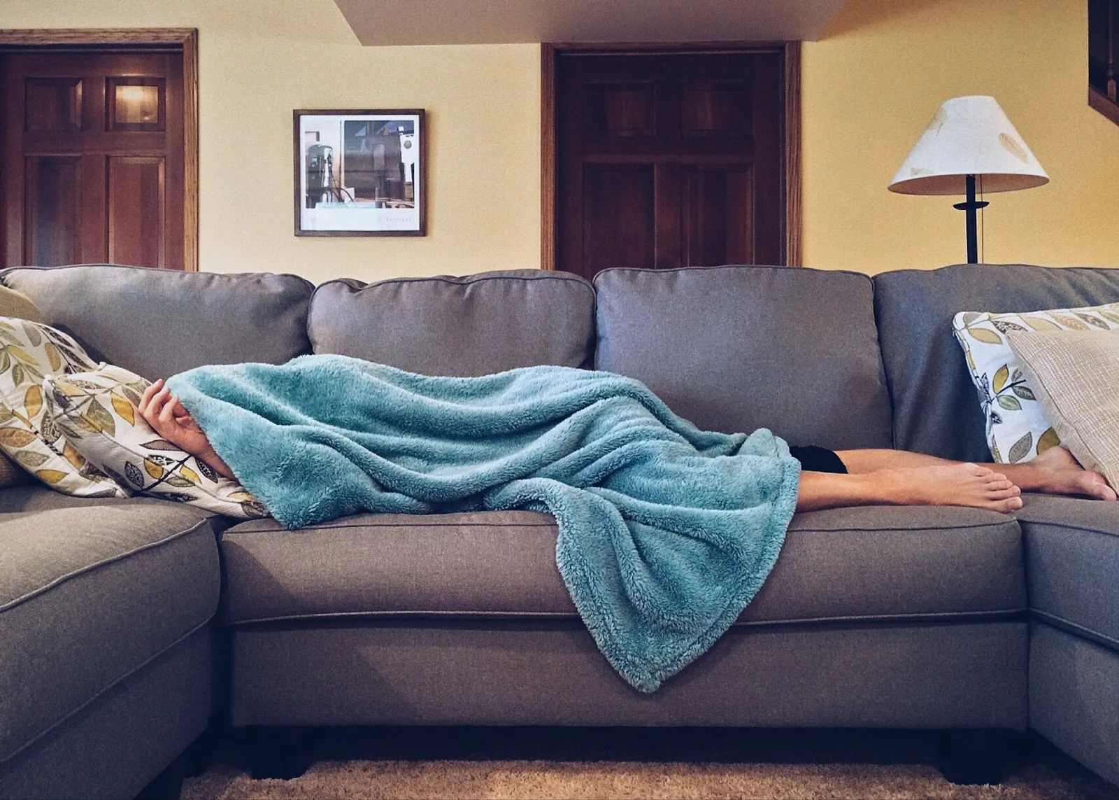 Person laying on couch in living area with blanket over top of them