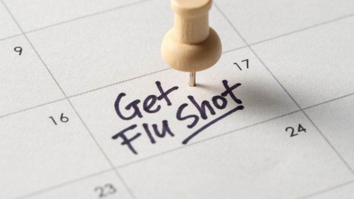 fall flu vaccination timeline